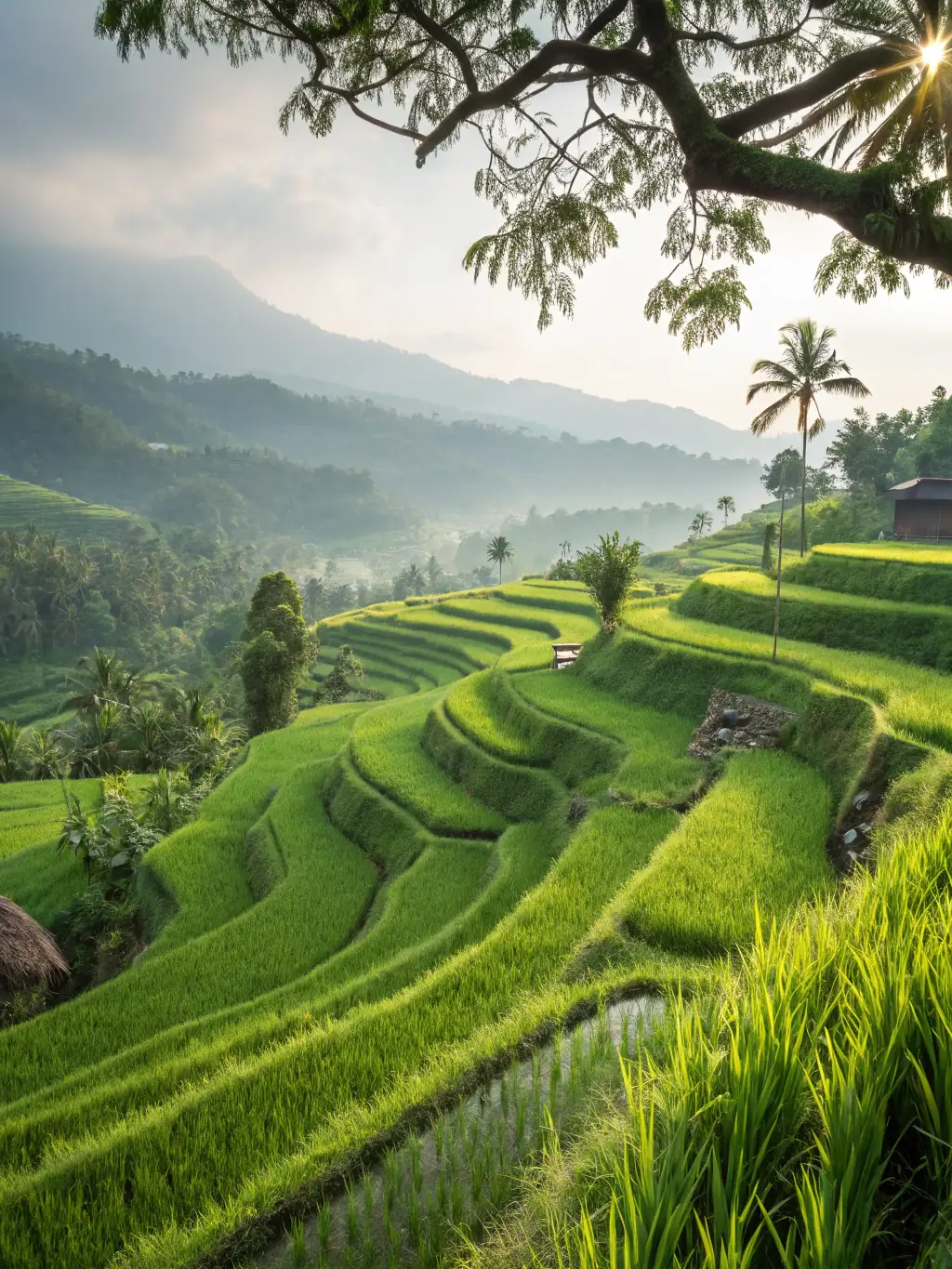 A picturesque view of Bali, Indonesia, featuring lush rice terraces and traditional temples, highlighting the island's natural beauty and cultural richness.